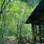 staymiraya-kabini-national-park-2