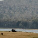 staymiraya-kabini-national-park-album1